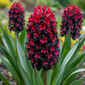 Гиацинт Джем Стоун купить по цене от 2099р. в интернет-магазине «Посадика» с доставкой почтой в в Муроме и по всей России – [изображение №1].