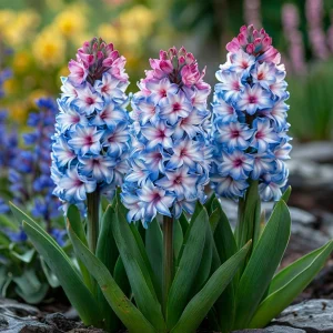 Гиацинт Пинк Мари купить по цене от 2099р. в интернет-магазине «Посадика» с доставкой почтой в в Муроме и по всей России – [изображение №1].