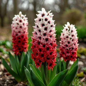 Гиацинт Скай Гарден купить по цене от 2099р. в интернет-магазине «Посадика» с доставкой почтой в в Муроме и по всей России – [изображение №1].